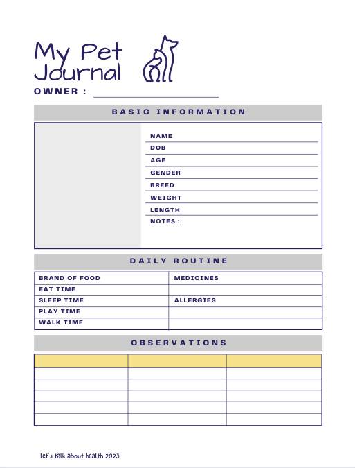 Unlock Your Potential with Adulting 101 Coaching & Therapy Support - Printable PDF