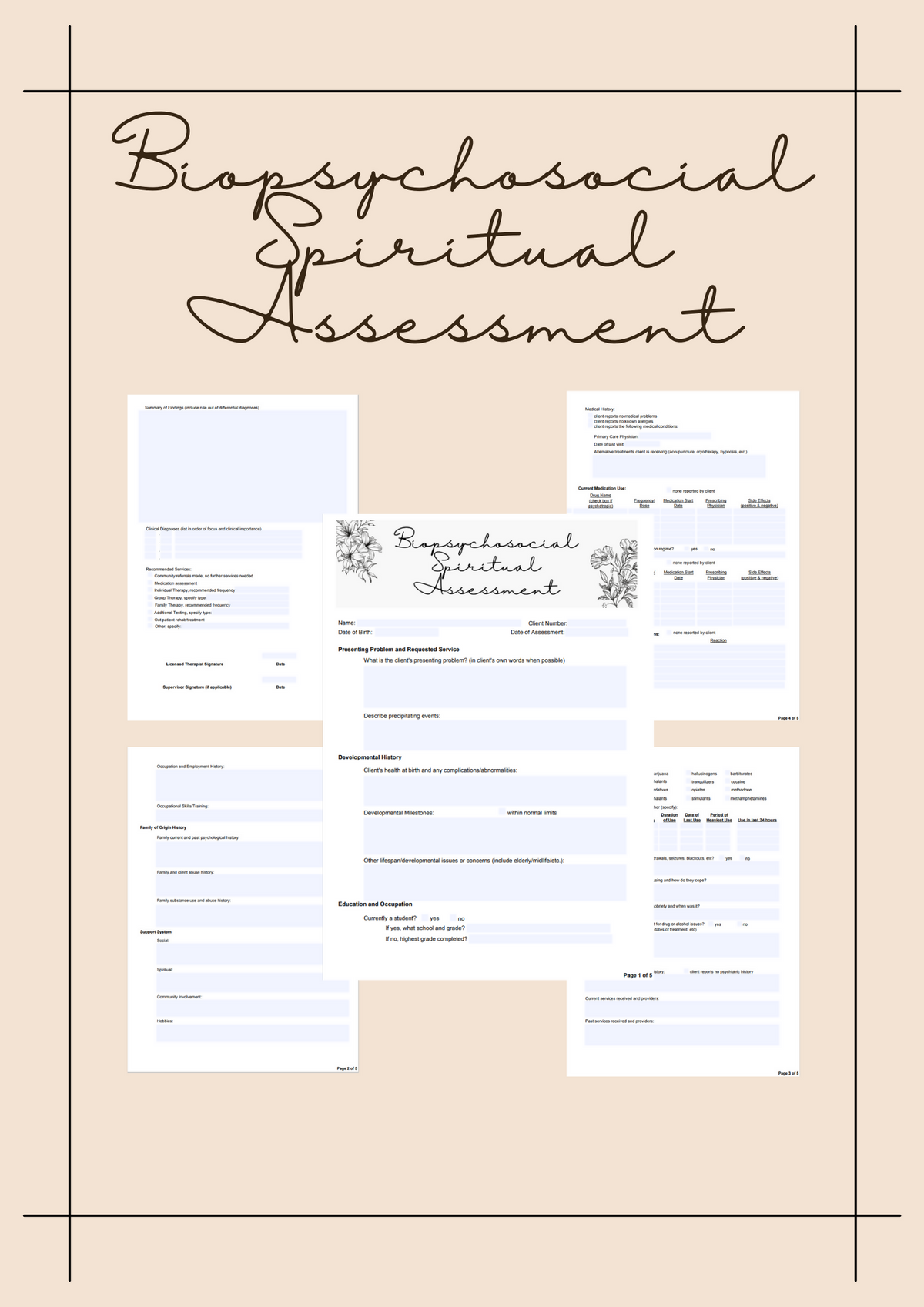Biopsychosocial Spiritual Assessment – Just Counseling Things